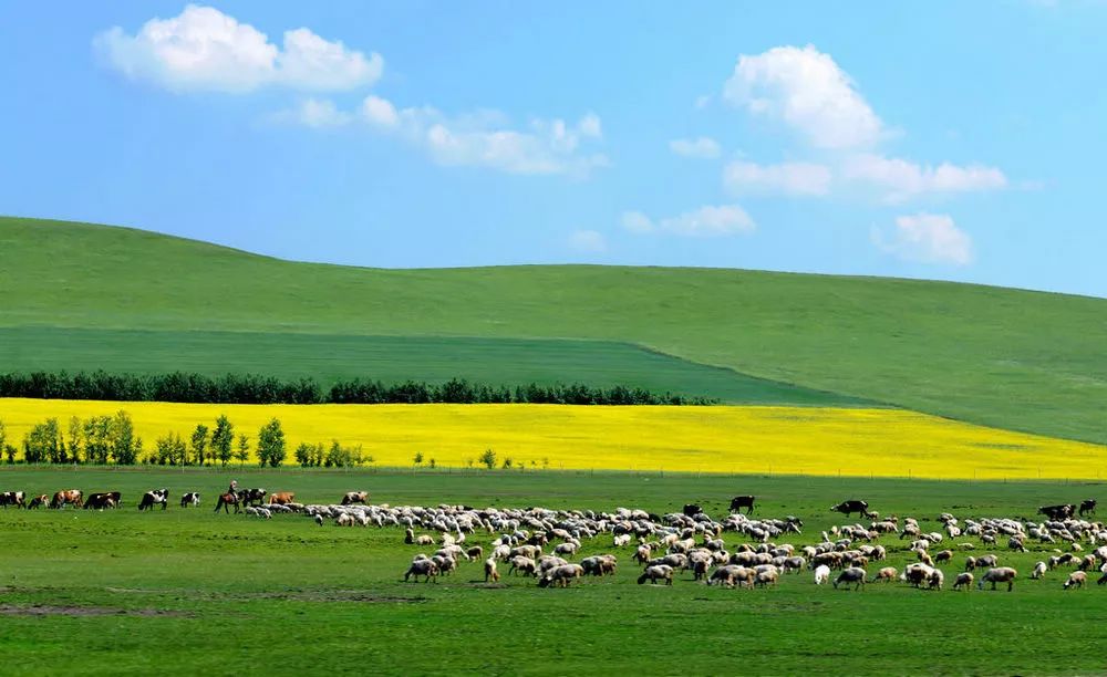 内蒙古绿色发展,探索与实践之路