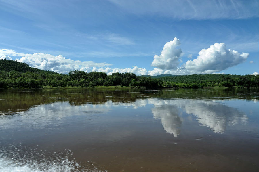 黑龙江,心中那抹醉人绿意🍂