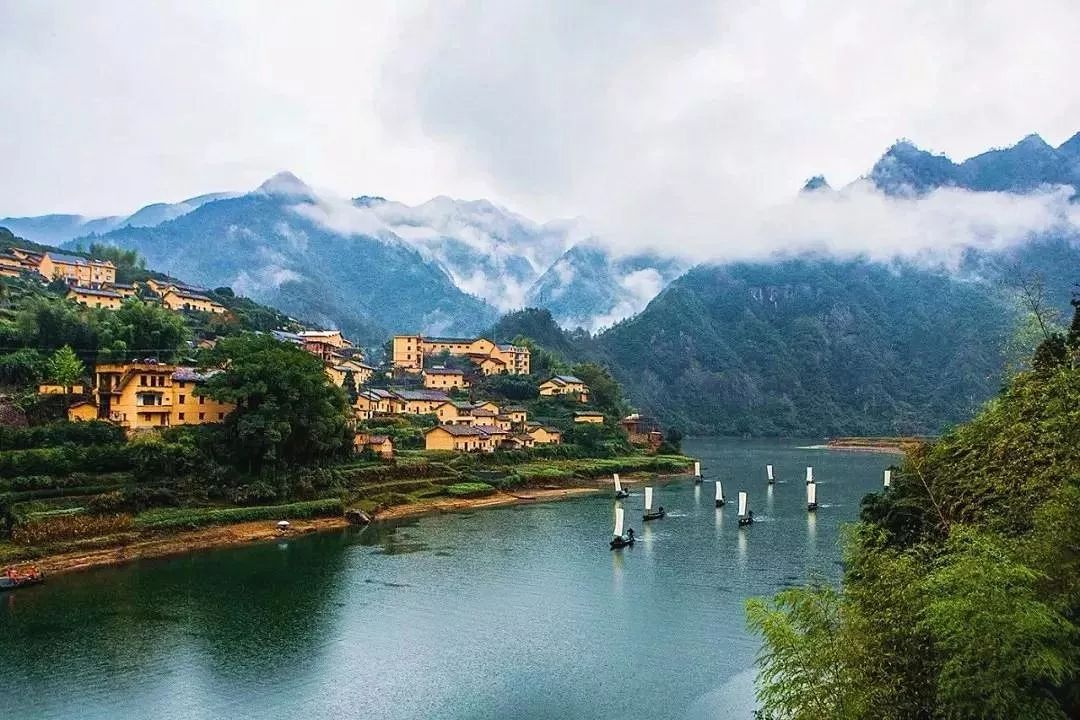 浙江智造先锋,解码未来科技浪潮