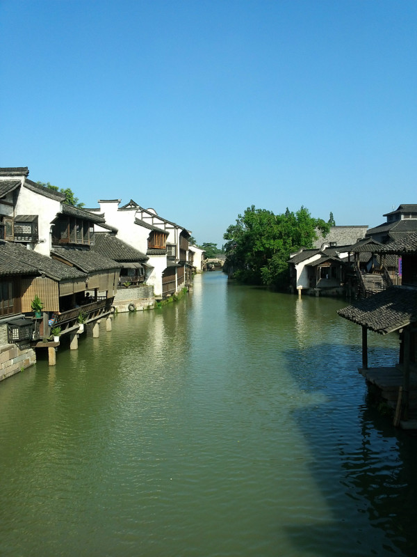 浙江智造先锋,解码未来科技浪潮