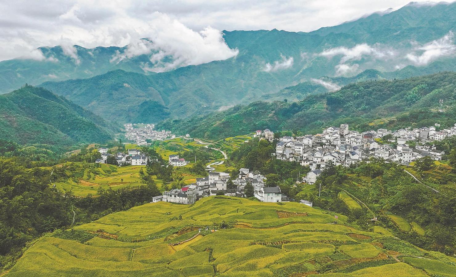 漫步安徽巷弄,探寻隐藏特色小店