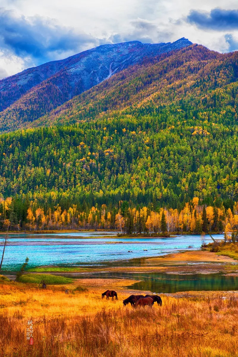 新疆，壮美多彩大地的探秘之旅