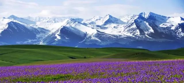 新疆,壮美多彩大地的探秘之旅